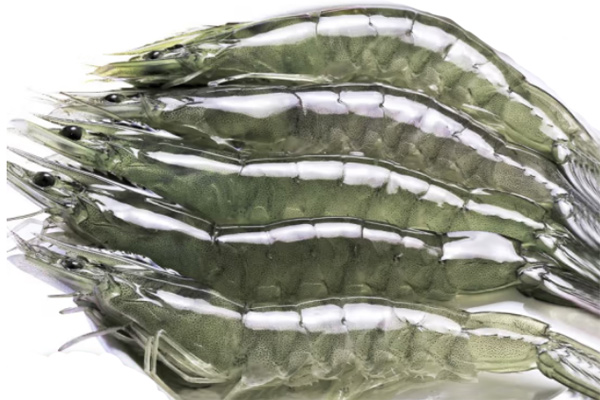 高精度分光測色儀用于海鮮的顏色品質(zhì)檢測