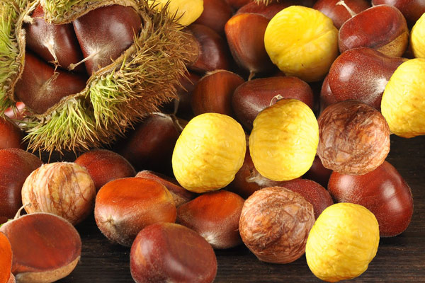 色差儀在板栗果肉褐變程度檢測中的應(yīng)用