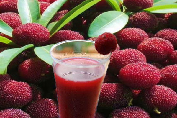 色差儀在楊梅汁色澤評定中的應(yīng)用