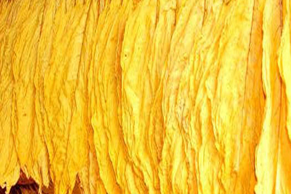 小口徑便攜式色差儀用于煙葉顏色信息的量化