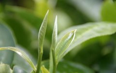 茶葉及茶飲料顏色評(píng)定用色差儀