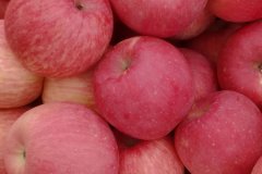 色差儀檢驗(yàn)蘋果顏色