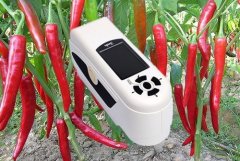 色差儀測定辣椒顏色變化