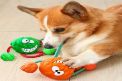 分光測(cè)色儀管控寵物玩具顏色的一致性